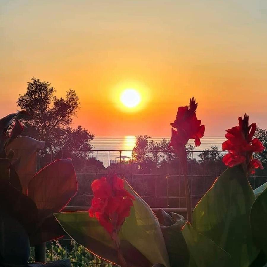 Apartment Loukia's And Paramonas (Corfu)